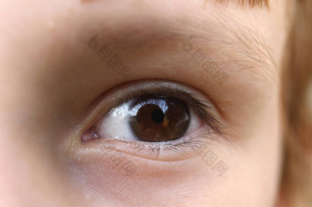 视力，眼科护理，药物，童年儿童褐色眼睛的特写镜头。有选择的重点。大佬