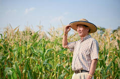 成功而有灵感的亚裔男性农场主或戴草帽的农场主站在他的玉米地里.