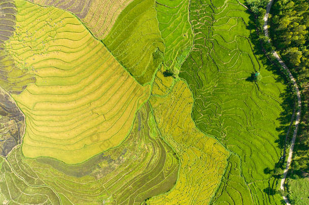 稻田和农田中农民住房的俯瞰。Negros，菲律宾.