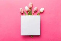 配以空白卡片和艳丽的花朵郁金香的色彩背景.顶部视图，为您提供空间.