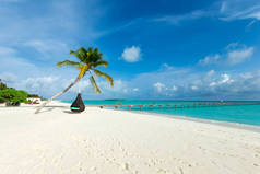 拥有白色沙滩和大海的热带马尔代夫岛。棕榈