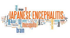 Japanese encephalitis word cloud