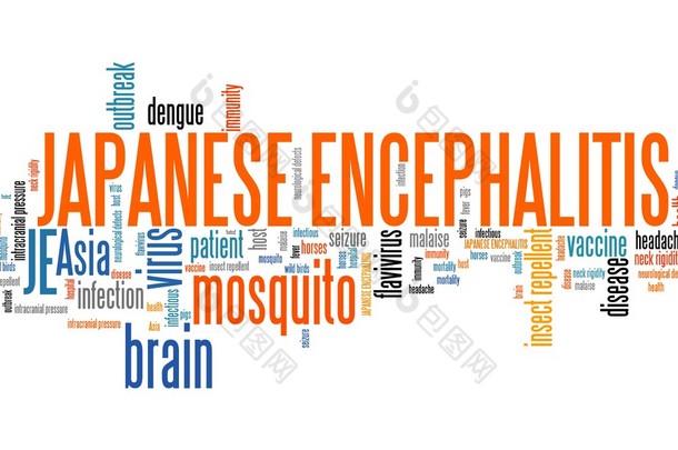 Japanese encephalitis word cloud