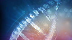 DNA链中的一个片段在变化中的特写，3D渲染.