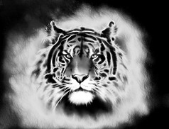 painting of a bright mighty tiger head on a soft toned abstract background eye contact. Black and wh