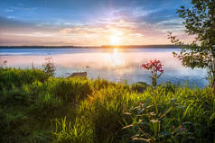 Valday。瓦尔代湖在初夏的清晨, 用美丽的金色天空和青草在露珠上