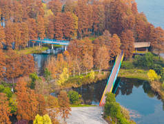 武汉东湖湿地公园风景区的秋季风景