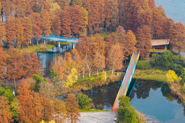 武汉东湖湿地公园风景区的秋季风景