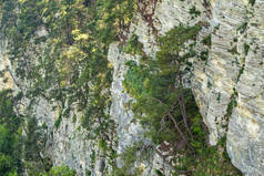茂密的绿色森林中的岩石峭壁。山林中的春色.