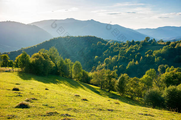 日落时山中的乡村风景。长满青草的山岗上的树木和田野。美丽的乡村风景中的外喀尔巴阡山脉地区，乌克兰语，在黄昏的阳光下。秋天阳光灿烂