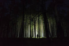 man with flashlight in the forest beetween trees
