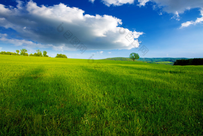 有绿草和云彩的夏季风景.