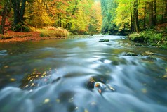 石质银行秋季山区河流由橙色山毛榉的叶子。鲜嫩的绿叶在水面的树枝上