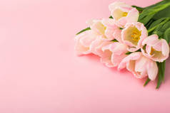 春花粉红的郁金香在粉红的背景与色彩空间。爱情的主题，母亲节，女人的一天