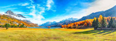迷人的秋天景色在瑞士阿尔卑斯山和西尔斯湖（Silsersee） 。瑞士阿尔卑斯山五彩斑斓的秋天风景.地点：Maloya, Engadine region, Grisons canton, Switze