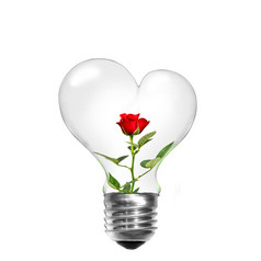 自然能源概念。与红玫瑰里面我心的形状的灯泡