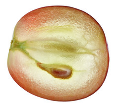 红色葡萄果实、 宏被隔绝在白色的半透明切片