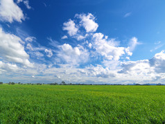 草原绿草，蓝天乌云