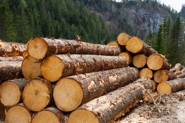 测井在奥地利阿尔卑斯山的木材