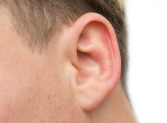 人类耳朵的特写