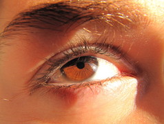 阳光反射在年轻女孩的棕色眼睛