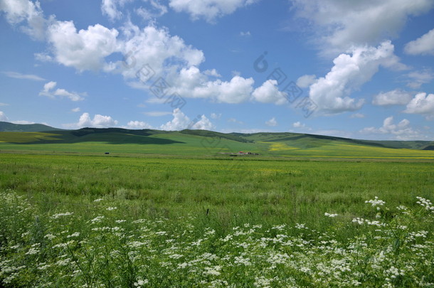 内蒙古科尔沁草原