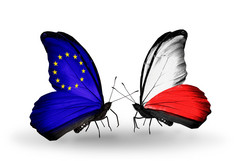 带有标志的翅膀象征关系欧盟和波兰的两个蝴蝶