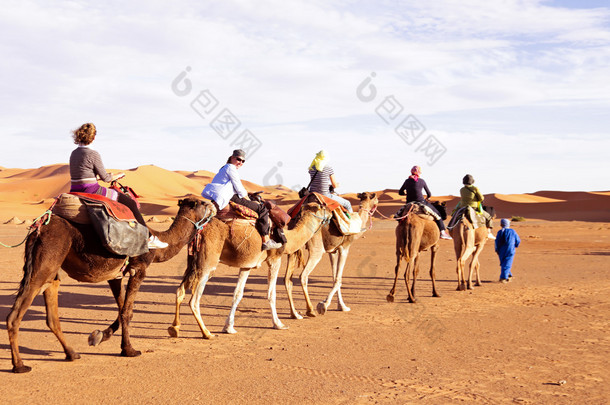 撒哈拉<strong>沙漠中</strong>的<strong>骆驼</strong>车队