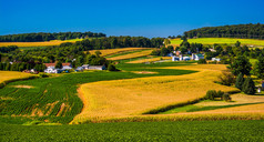 起伏的山峦和农田在农村纽约县，宾夕法尼亚的视图
