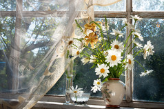 窗台上的 chamomilie 花束