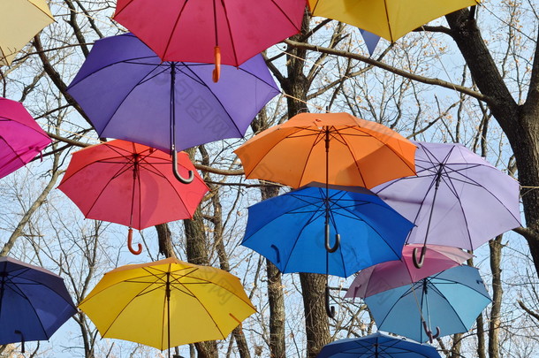 许多遮阳伞挂在树上。自由.