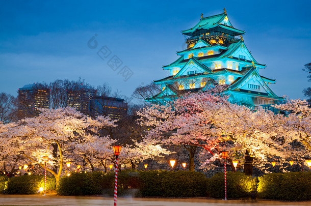 日本大阪樱花盛开的大阪城堡