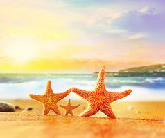 家庭黄色的沙滩上的海星离大海很近