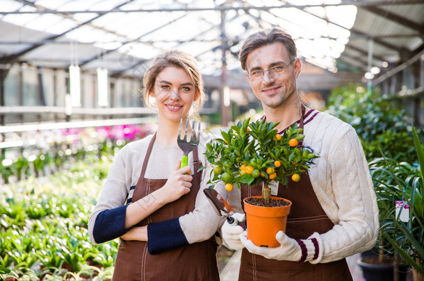 Happy attractive woman and man gardeners holding small mandarine tree