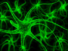 神经元-神经单元格图