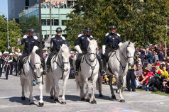 2015 Adelaide Christmas Pagaent