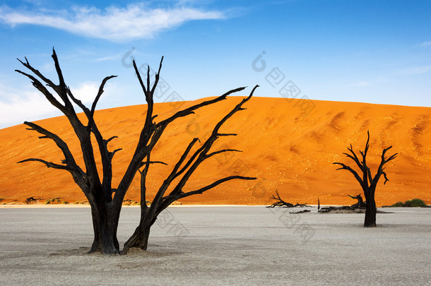 树木和死湖，Sossuslvei，纳米比亚红沙丘