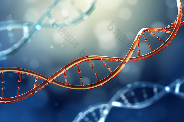 Dna 分子的玻璃模型三维图.