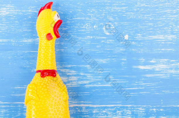 刺耳的鸡肉放在蓝色木背景的玩具黄色