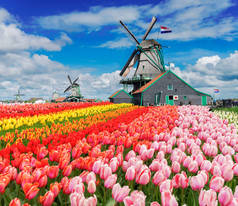 荷兰风车厂