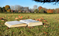 在晴朗的一天在公园里读的书