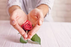 爱的概念。人控股橙色玫瑰在心形手。情人节明信片