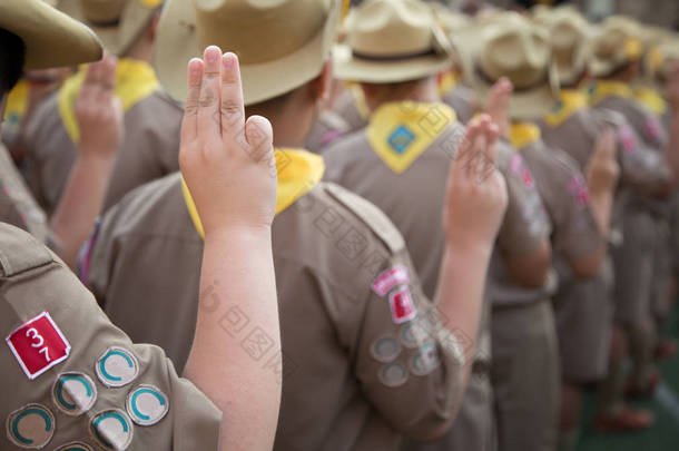 作为研究的一部分，亚洲童军在<strong>夏令营</strong>活动中对誓言进行了解释。 童子军标志概念.