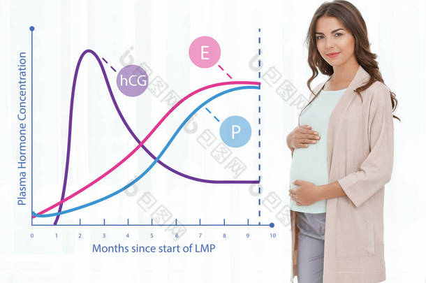 在怀孕期间激素水平变化的图形