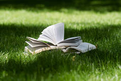 在一个绿色的公园中打开书籍在草地上