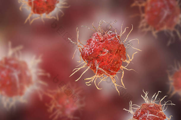 树突状细胞<strong>抗原</strong>的免疫细胞