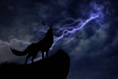 狼在雷暴的剪影