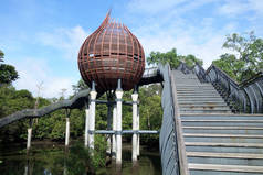 位于双溪 Buloh 湿地保护区内的翠鸟豆荚