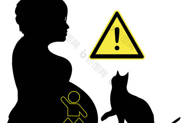 妊娠期弓形虫病。寄生虫被猫传染, 并可能导致胎儿的脑损伤。