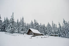 山上白雪覆盖的松树木屋 chomiak-salvi.